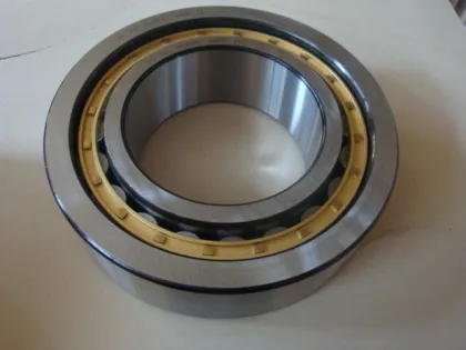 Fag Bearing Sl014844 The Outer Rings Have Rigid Ribs