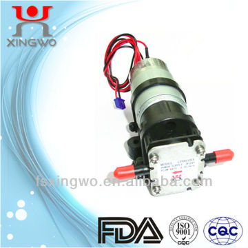 Mini Water Pump electric gear pump 24v DC Pump