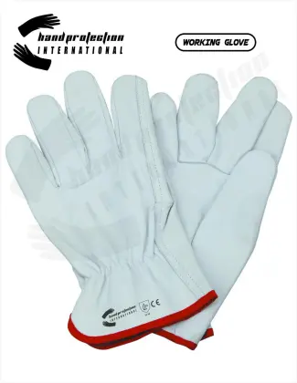 Safety Gloves