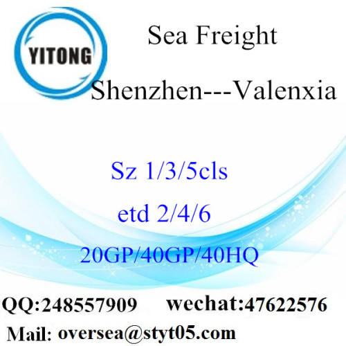Transporte marítimo de Shenzhen Port Freight a Valenxia