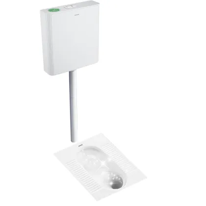 Evolution and development of squatting potty