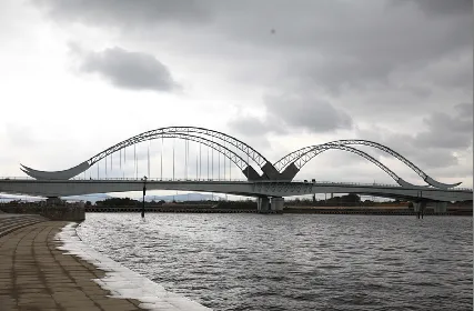 Long Span Steel Structure Overpass Bridge