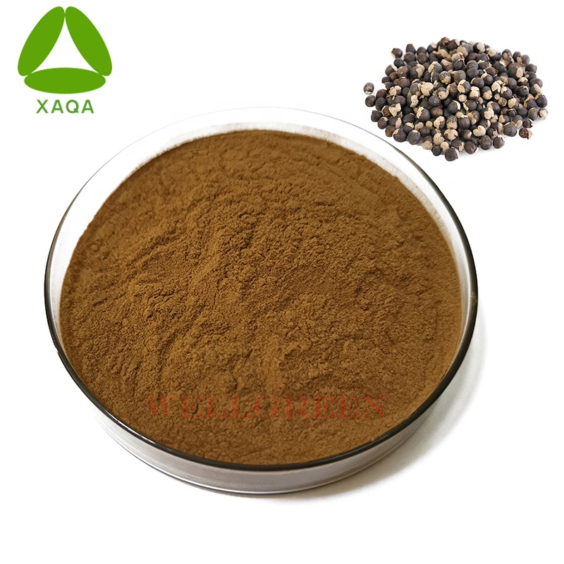 Vitex-extract 3% Vitexin-poeder CAS 3681-93-4