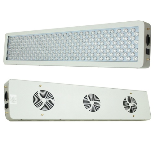 Use led therapy at home 1000W