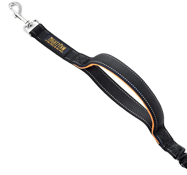 Comfortable Bungee Dog Leash