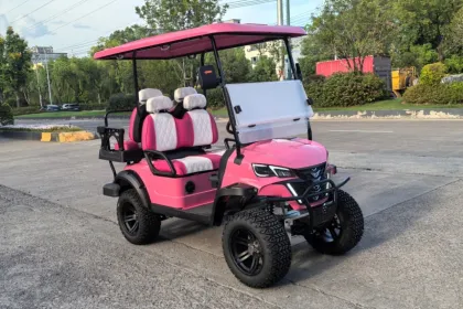 Custom Car Golf Cart Personalization