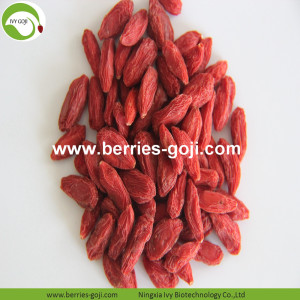 Os frutos da fonte da fábrica melhoram amostras da visão Goji Berry