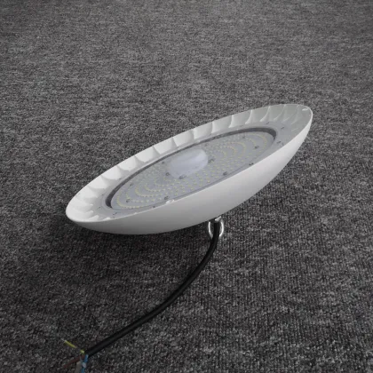 IP69K Certified Lighting Solutions for Cold Storage Warehouses