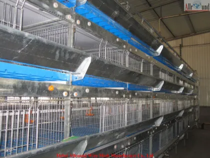 Poultry chicken farm