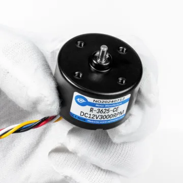 XYT 3625 Mini DC Brushless Motor - OEM Factory Customized 12/24V High Power High Speed Low Noise Motor for Electric Motorcycle