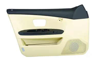 Ford Automobile Door Panel Plastic Injection Mould