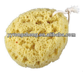 similar nature sponge
