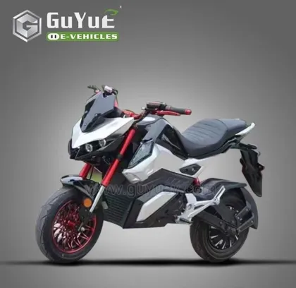 Scooter Adult Electric Motorcycle