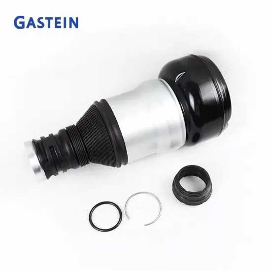 W222 Rear Repair Kit - Air Bag Shock Pneumatic Air Suspension Spring (2223200313, 2223200413)