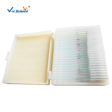 Student Lab Educational 25 Pcs Biological Prepared Slides