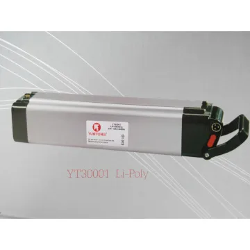electric vehicle batteries / battery