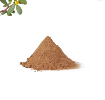 High quality raspberry ketone powder 98%
