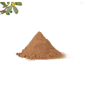 Quality natural 20% 50% bacopa monnieri extract powder