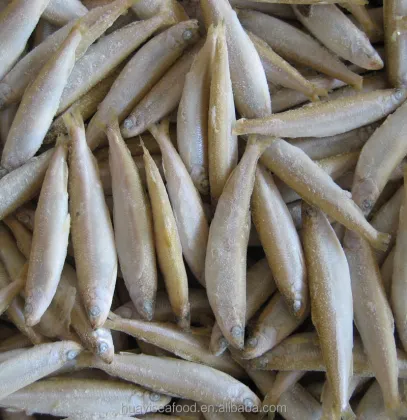 high quality iqf fish whitebait