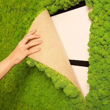 Natural Preserved Moss Slice