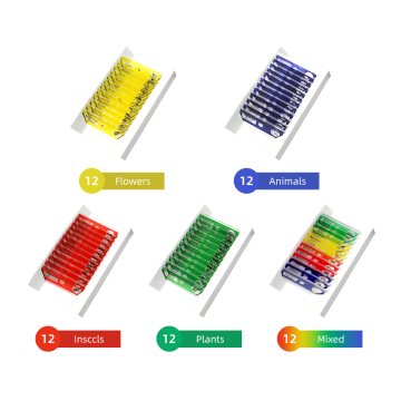 Insetto da 48 pc e diapositive per microscopi in plastica color pianta
