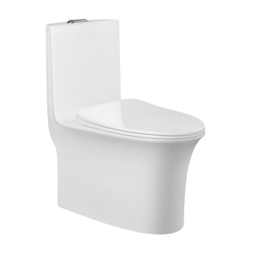 One Piece Toilet Bowl Flush WC