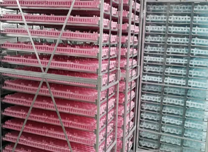 chicken egg incubator machine