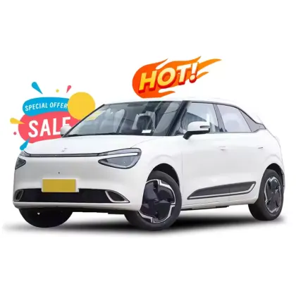 2024 Dongfeng Nammi 01 Electric Hatchback