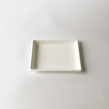 Bagasse Service Tray 220x170x25mm