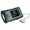 Vet ultrasound machine for pregnancy test