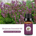 тамоюли хусусӣ 100% Marjoram Sear Marjoram таъминоти нафтӣ барои нигоҳубини пӯст