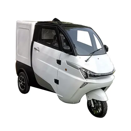 YouYou Electric Cargo Car - New Energy Van Vehicle