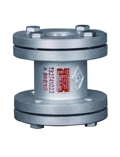 YRN-30C Flange type Check Valve for Ammonia