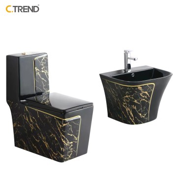 Floor-Mounted One-Piece Toilet Set with Wall-Hung Basin and Marble Finish