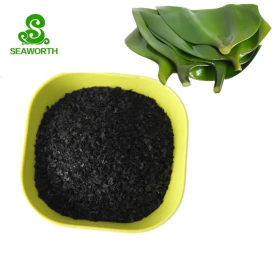 Algae Nutrient Manufacturer for Soil Fertilization