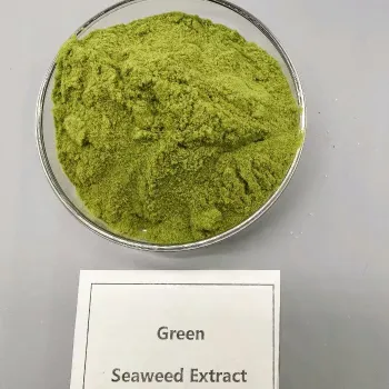 Biostimulant Green Seaweed Extract