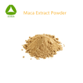 Materia prima orgánica extracto de raíz de maca 10: 1 polvo