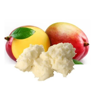 Mango Butter 100% Pure and Natural for Food Cosmetic and Pharma Grade