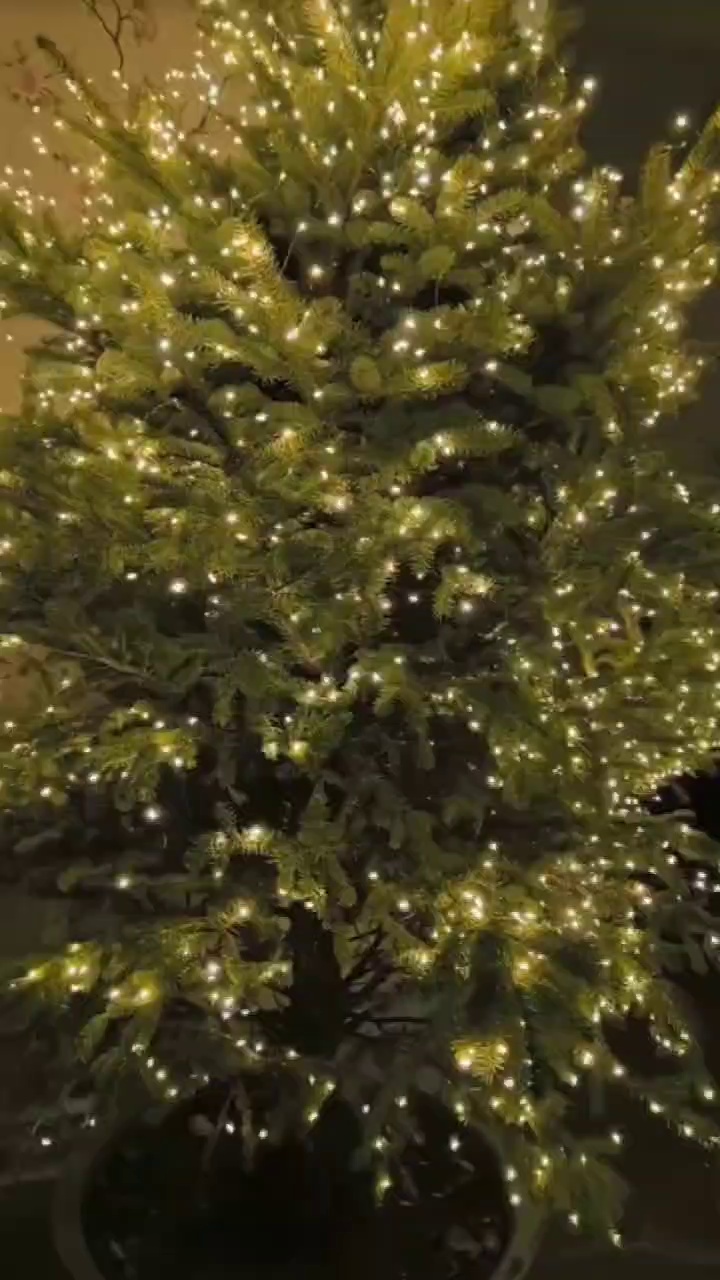 The Latest - model LED String Lights in 2025