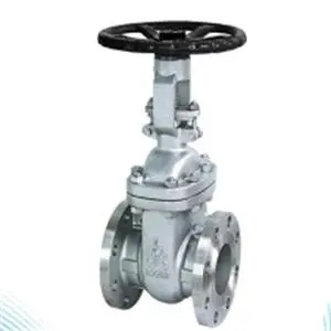 Flange end stainless steel gate valve