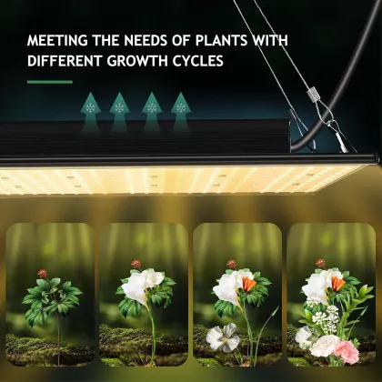 Spectrafarm LED Warehouse: Germany's Premier Grow Light Source with WiFi PWM Quantum Controller