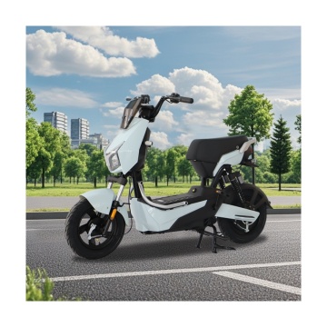 48v/60v New Arrival Electric Motorcycle with Drum Brake - Easy to Use Electric Moped
