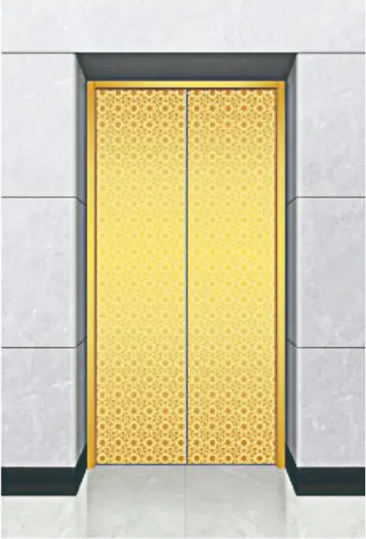 Customized Residential and Commercial Elevator Solutions
