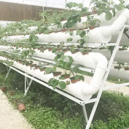 MYXL Hydroponics Indoor NFT Tower Growing System