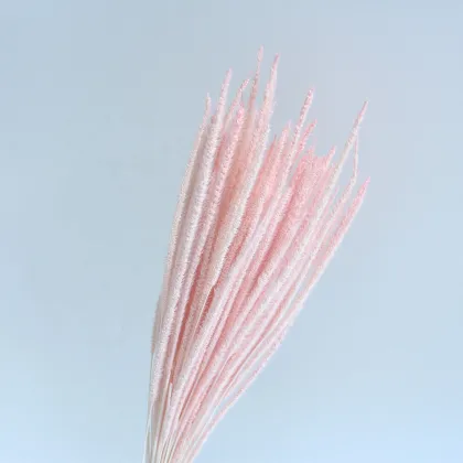 Wholesale Colourful Kirin Grass for Wedding and Home Decoration