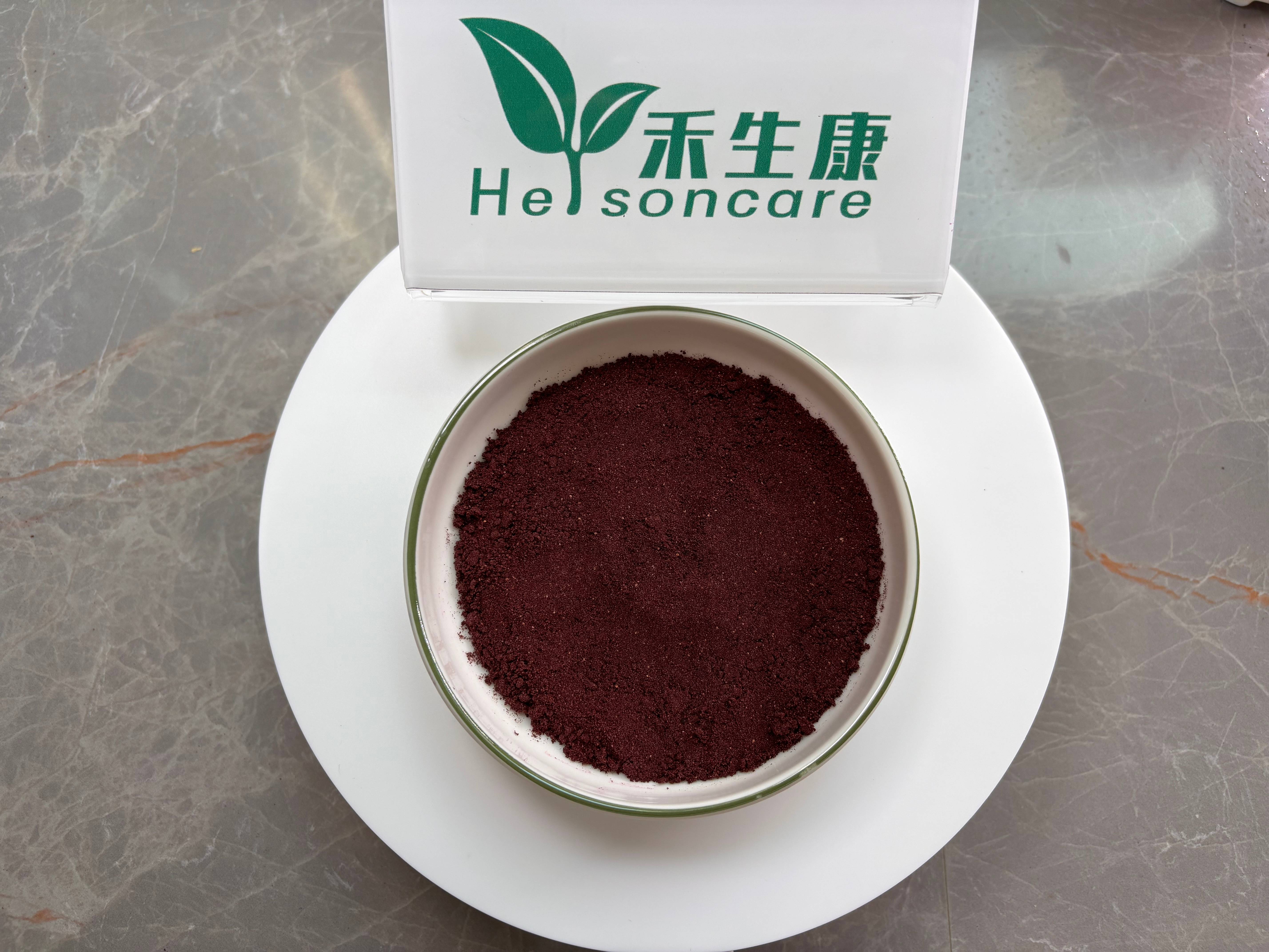 Freeze Dried Blueberry Powder