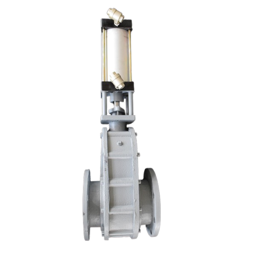 Устойлівы да зносу клапана з падвойным заводам