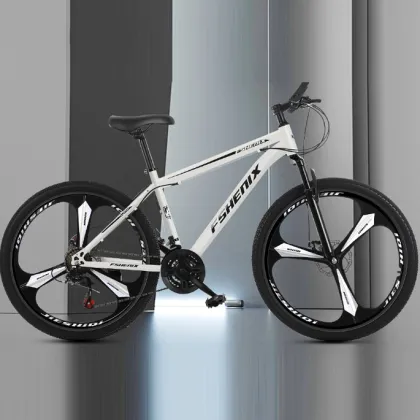 Wholesale mountain bike 21 speed off-road cycling bicycle