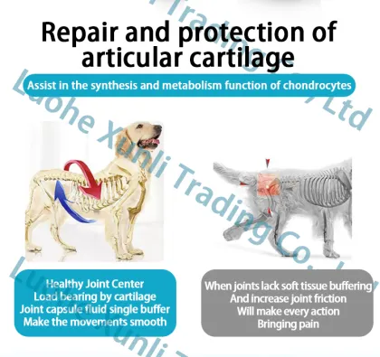 Pet Calcium Tablets with Chondroitin for Puppies and Dogs - Nutritional Supplement