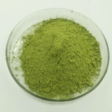 Natural Instrant Green Barley Grass Juice Powder